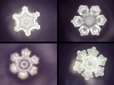 DR. EMOTO BIOGEOMETRY WATER CRYSTALS